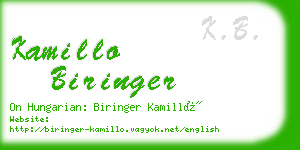 kamillo biringer business card